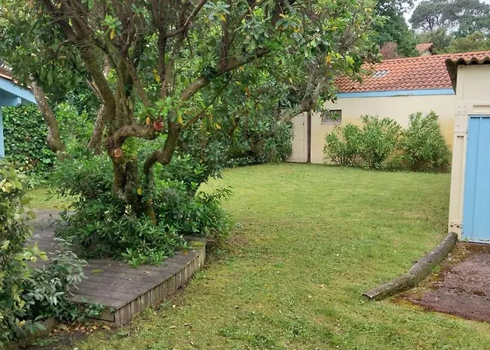 Charmante Maison Gaume, 3 Chambres, - Fr-1-433-151